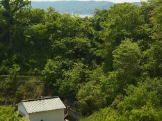 �ȱ��ܲ�Į4�϶衡�޷����������к���������������쿭 ������2