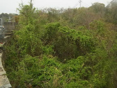 �ȱ��ܲ�Į4�϶衡�޷����������к���������������쿭 ������2