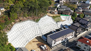 ϶޷кûܹð̼ˡ͹縩ˡ̶