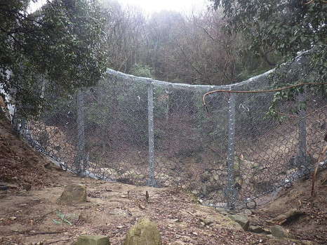 ������� ʡ������ ���ֲ���4