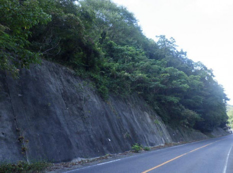 ��������ƻ��������۴�����ƻϩ�ҳ��ɽ���ˡ���к��˹�������ݻ��ȳ������ ������1