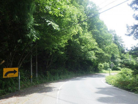 ���̹�ƻ 186�桡ƻϩ�ҳ��ɽ�������105-01����� ��������쿭 ������2