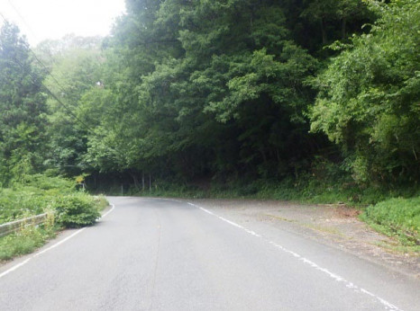 ���̹�ƻ 186�桡ƻϩ�ҳ��ɽ�������105-01����� ��������쿭 ������2