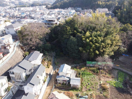 �ͺ䤯����ڰ������϶���ɲá˵޷����������к�������������������ܥ��꡼����ƥʥ� ������1