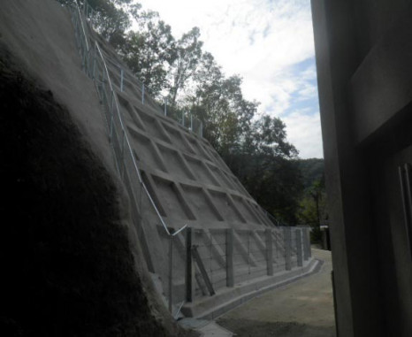 �ʥ��Υ����϶衡�޷����������к����� �������ȳ������ ������1